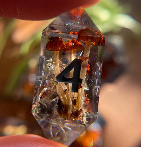 Organic Plant Inclusions Organic Plant Inclusions